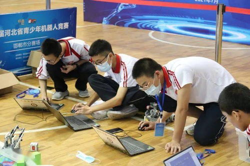 市科协荣获全省青少年机器人竞赛优秀组织奖 彰显卓越竞赛组织能力