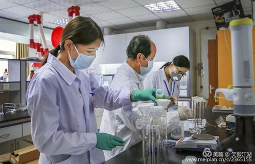 舌尖上的卫士——平凉市第三届农产品质量安全检测技能竞赛剪影